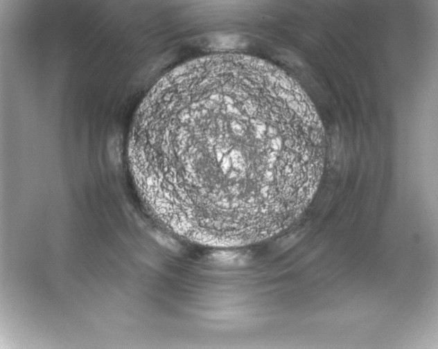 X0000066500326200604072247