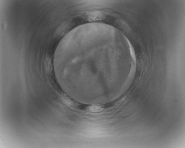 X0000066500327200604072247