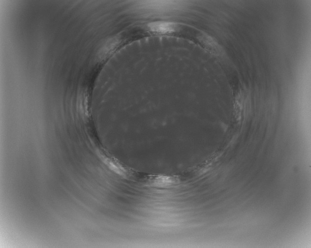 X0000066500330200604072247