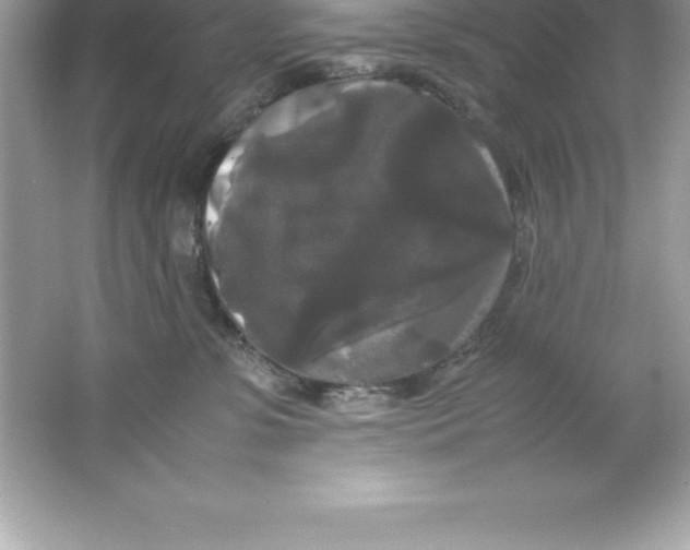 X0000066500331200604072247