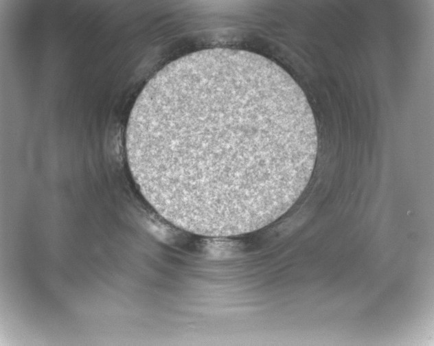 X0000066500336200604072247