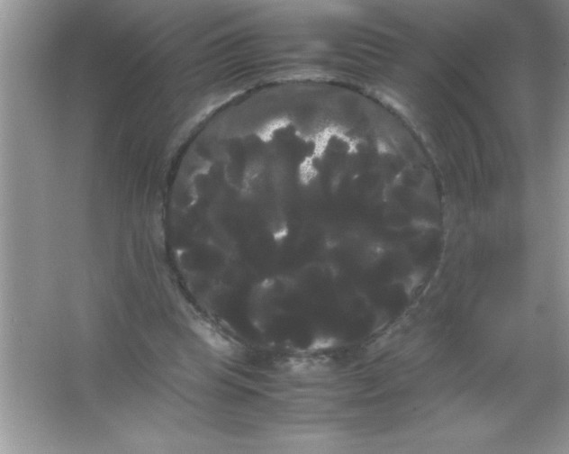X0000066500345200604072246