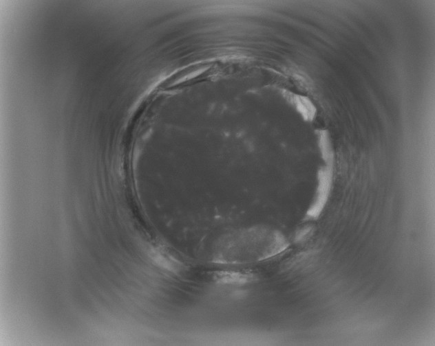 X0000066500347200604072246