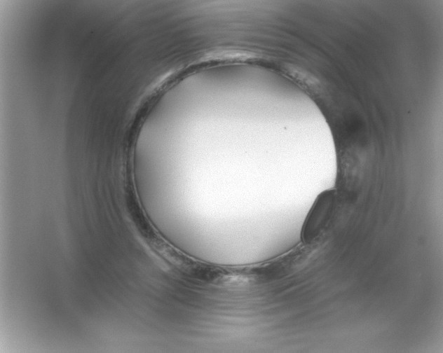 X0000066500352200604072247