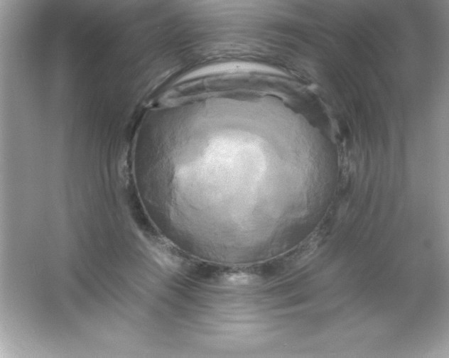 X0000066500360200604072247