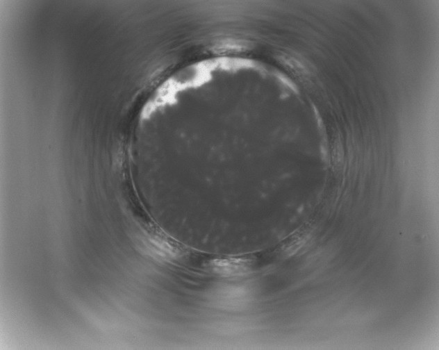 X0000066500367200604072247