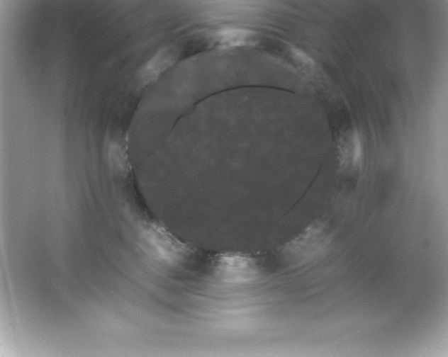 X0000066500376200604072247