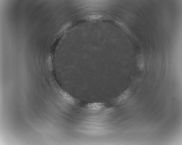 X0000066500378200604072247