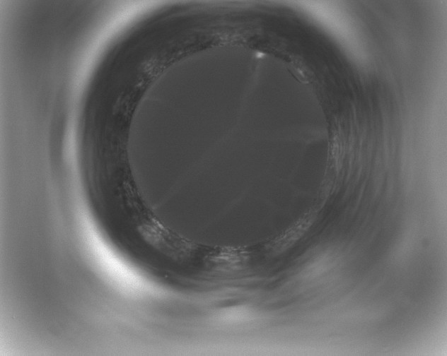 X0000066500383200604072247