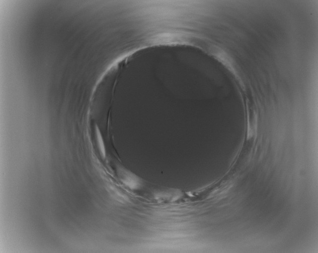 X0000066500387200604072246