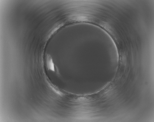 X0000066500390200604072246