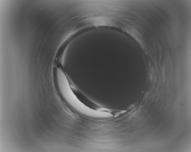 X0000066500391200604072246