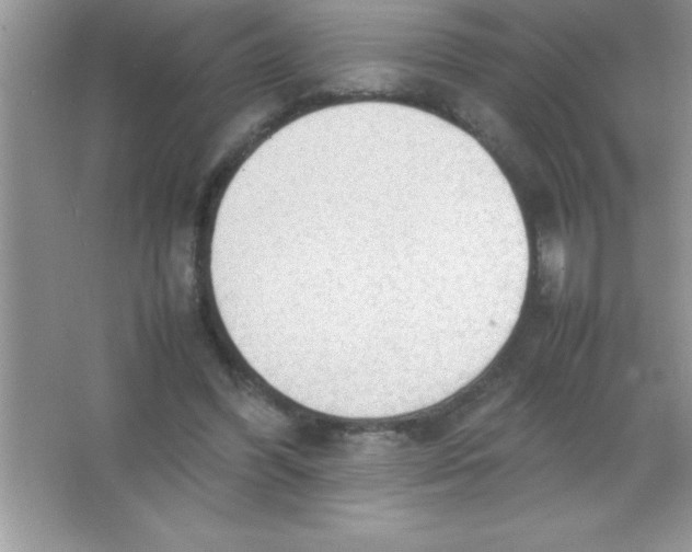 X0000066500396200604072246