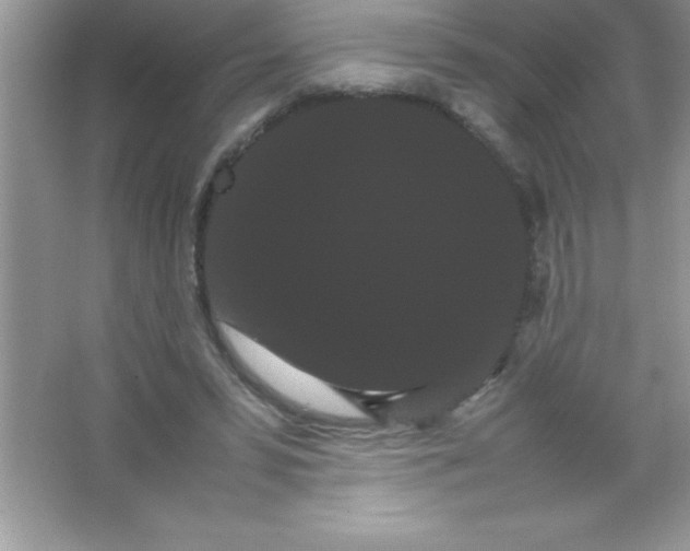 X0000066500399200604072246