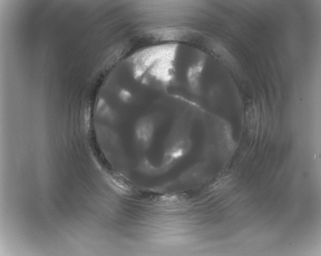 X0000066500406200604072246