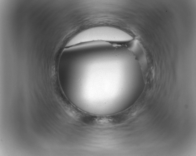 X0000066500407200604072246