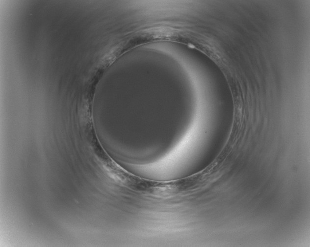X0000066500411200604072246