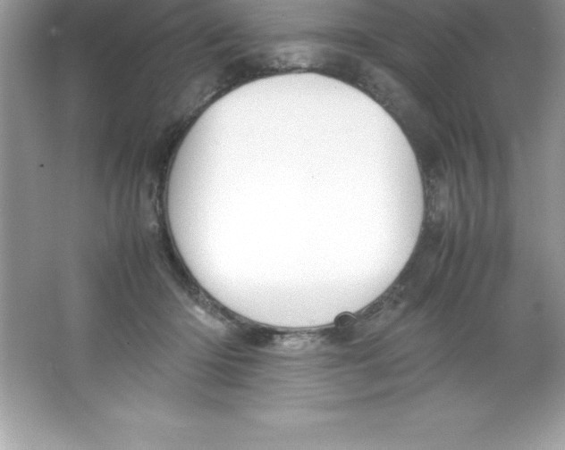 X0000066500414200604072246