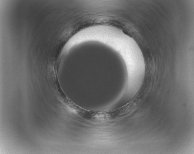 X0000066500415200604072246