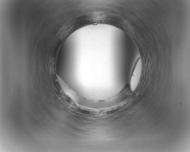 X0000066500421200604072246