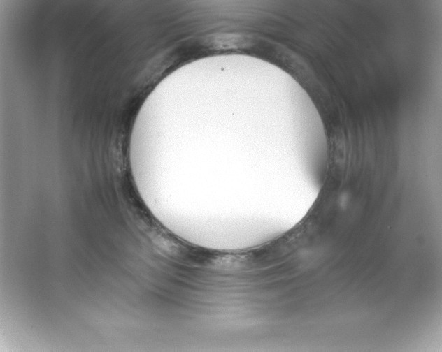 X0000066500422200604072246