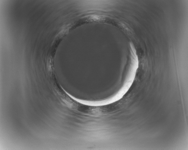 X0000066500423200604072246