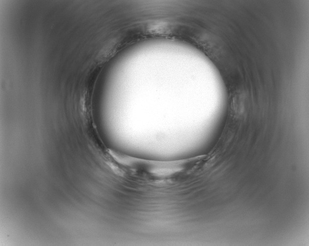 X0000066500424200604072246