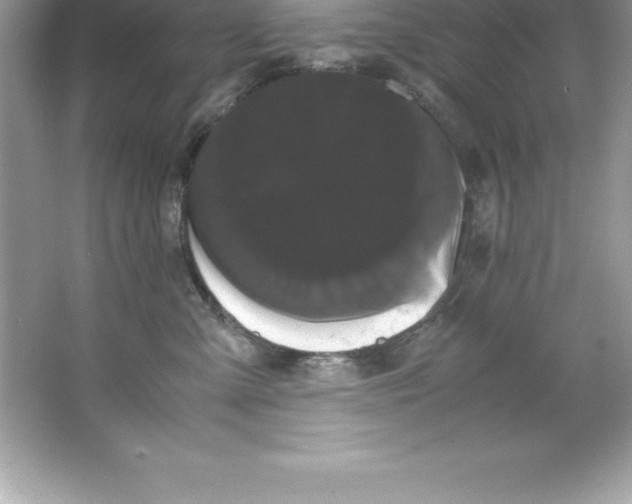 X0000066500427200604072246