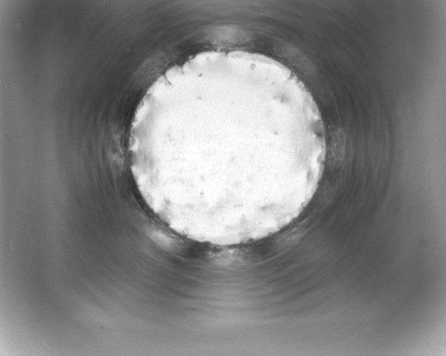X0000066500430200604072245