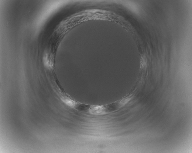 X0000066500431200604072245