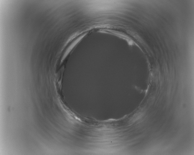 X0000066500434200604072245
