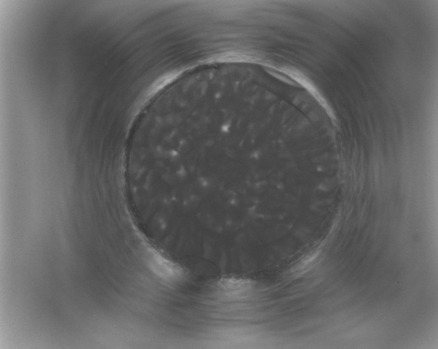 X0000066500437200604072245