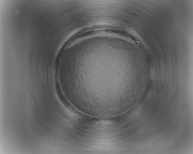 X0000066500444200604072245