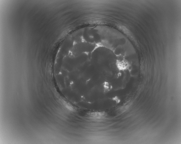 X0000066500449200604072245