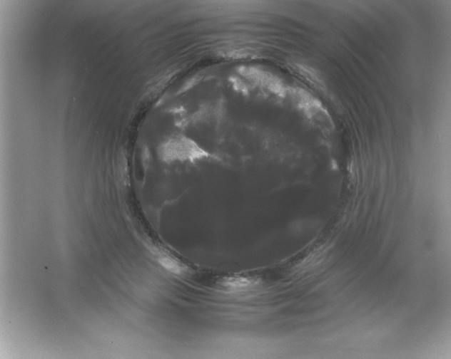 X0000066500453200604072245