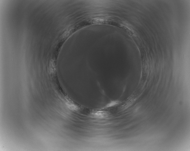 X0000066500467200604072245
