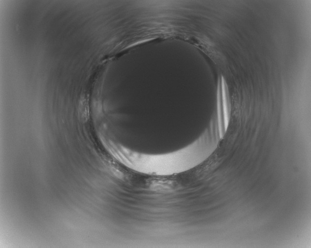 X0000066500471200604072245