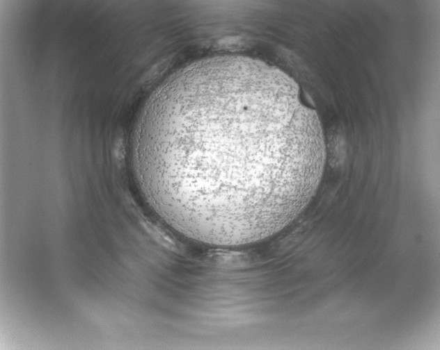 X0000066500472200604072245