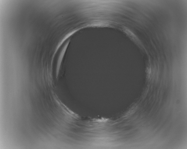 X0000066500484200604072245