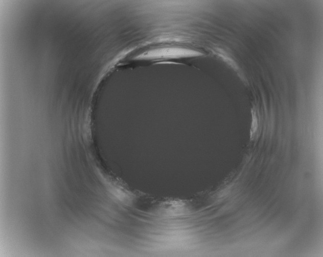 X0000066500492200604072244
