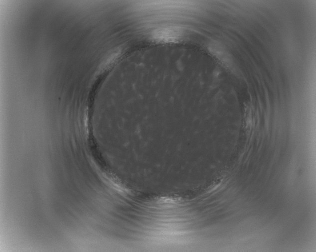 X0000066500494200604072244