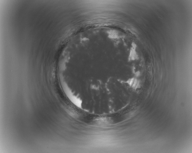 X0000066500499200604072244