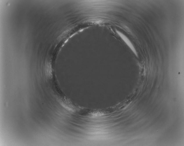 X0000066500500200604072244