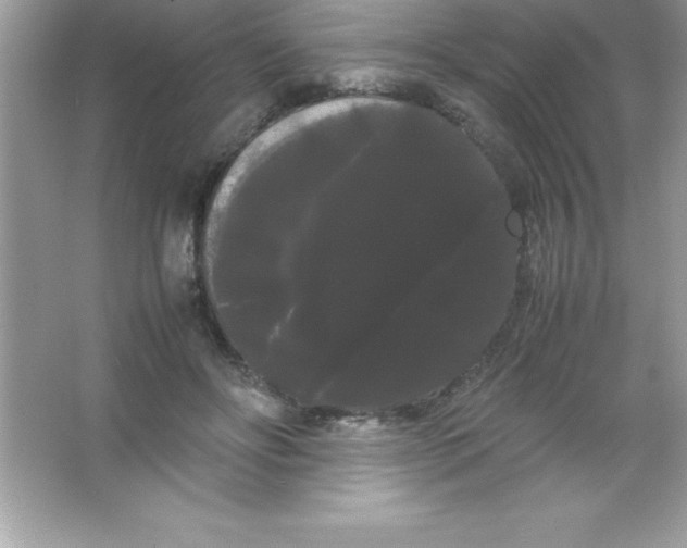 X0000066500502200604072244