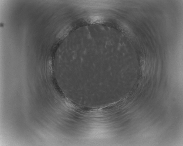 X0000066500506200604072244
