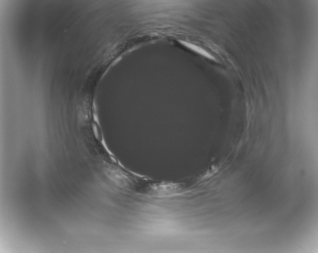 X0000066500517200604072244