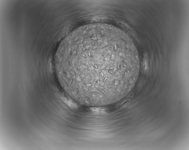 X0000066500520200604072244
