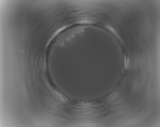 X0000066500531200604072243