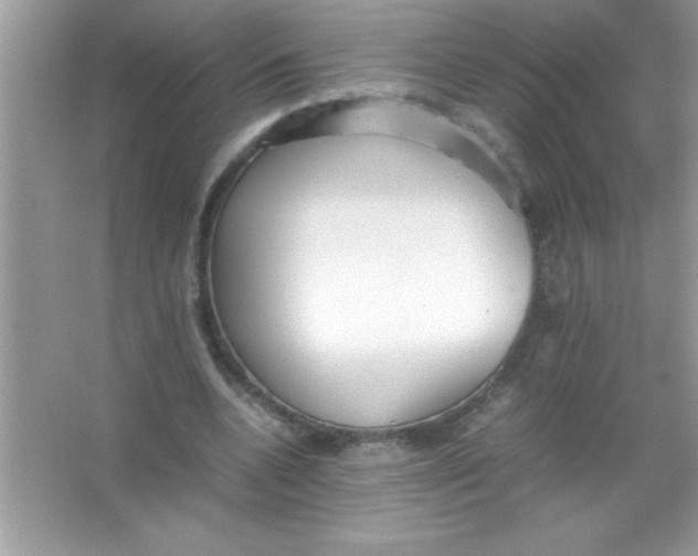 X0000066500536200604072243