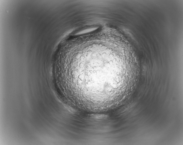 X0000066500539200604072243